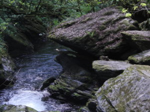 Lydford Gorge