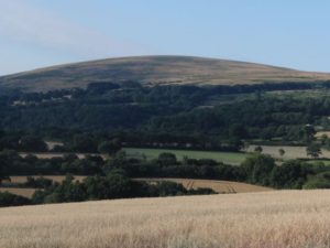 Dartmoor National Park